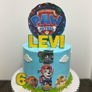 Paw Patrol Cake DCC1
