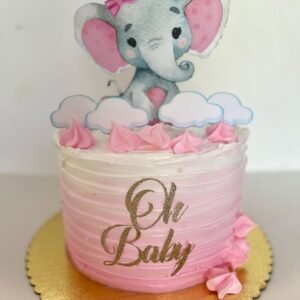 Welcome Baby Elephant Cake