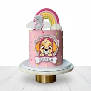 Paw Patrol SKY cake